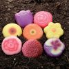 Sensory Play Yellow Door | Yellow Door Sensory Play Stones- Flowers