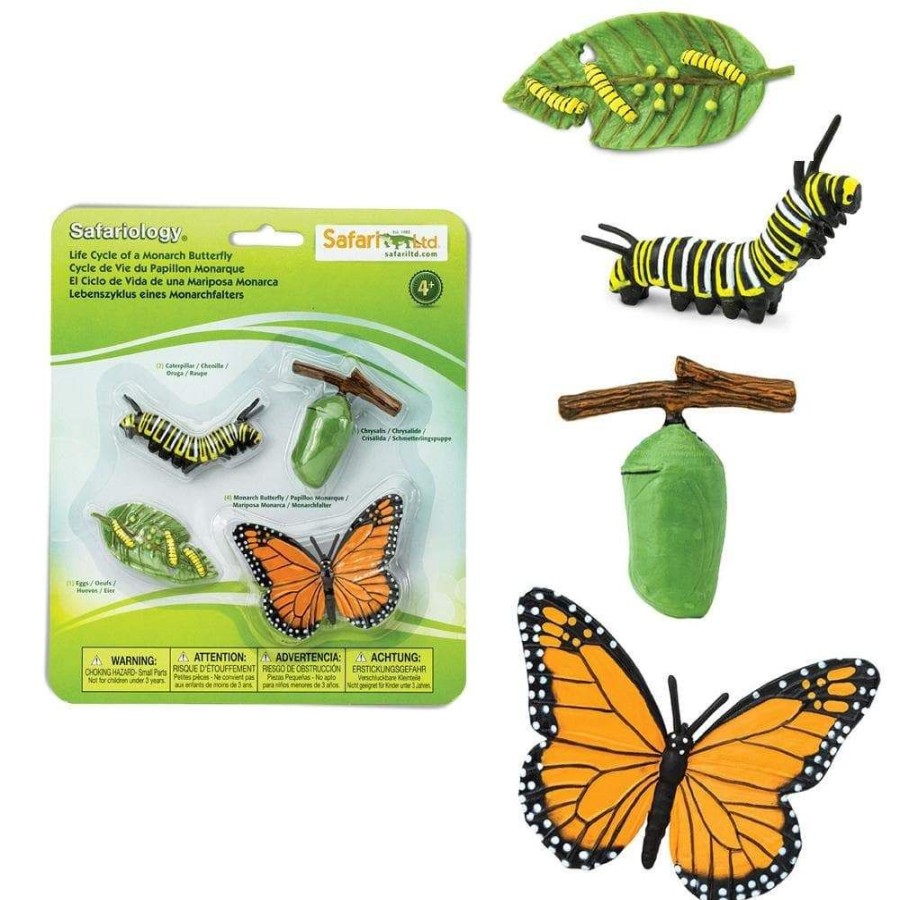 Small World Play Axse | Safari Life Cycle - Monarch Butterfly