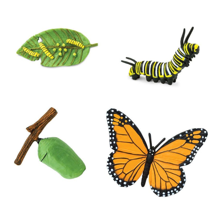 Small World Play Axse | Safari Life Cycle - Monarch Butterfly