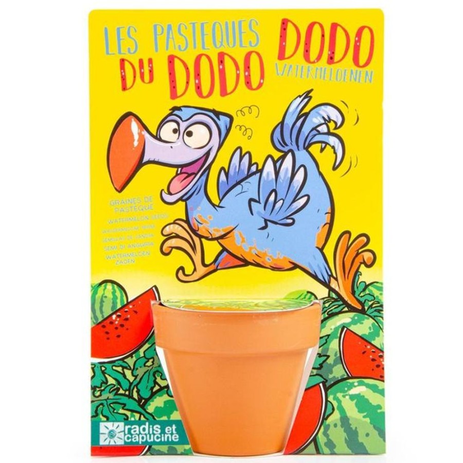 Learning Jiminy | Growing Kit: Dodo - Watermelon Seeds