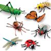 Animals Learning Resources | Lr Large Insect Set