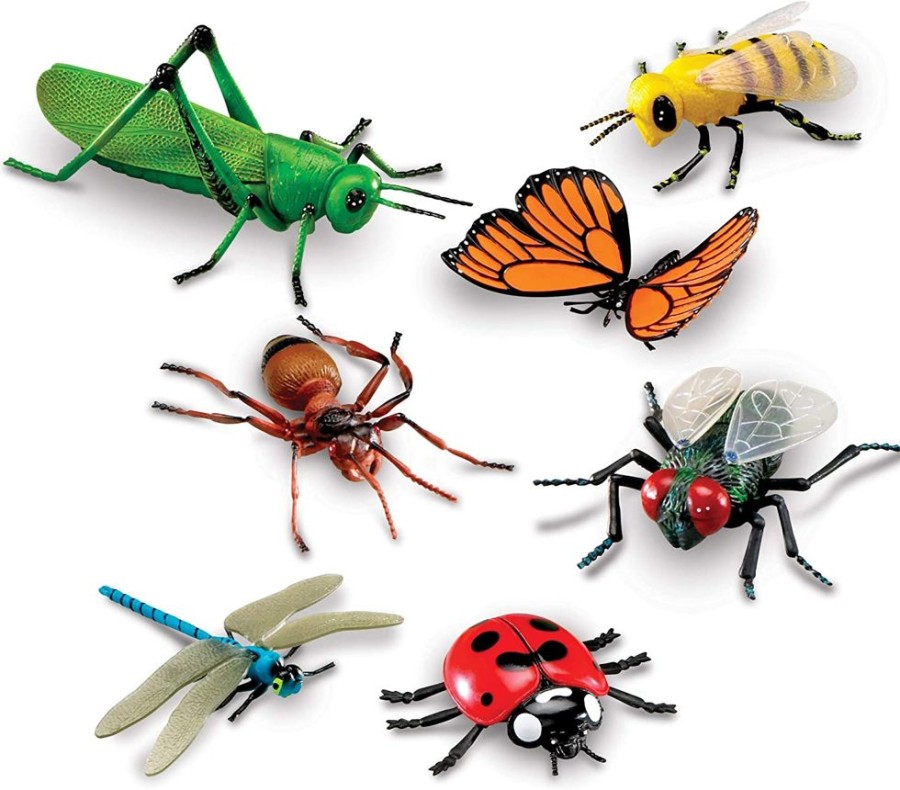 Animals Learning Resources | Lr Large Insect Set