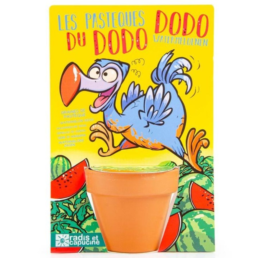 Gift / Party Ideas Jiminy | Growing Kit: Dodo - Watermelon Seeds