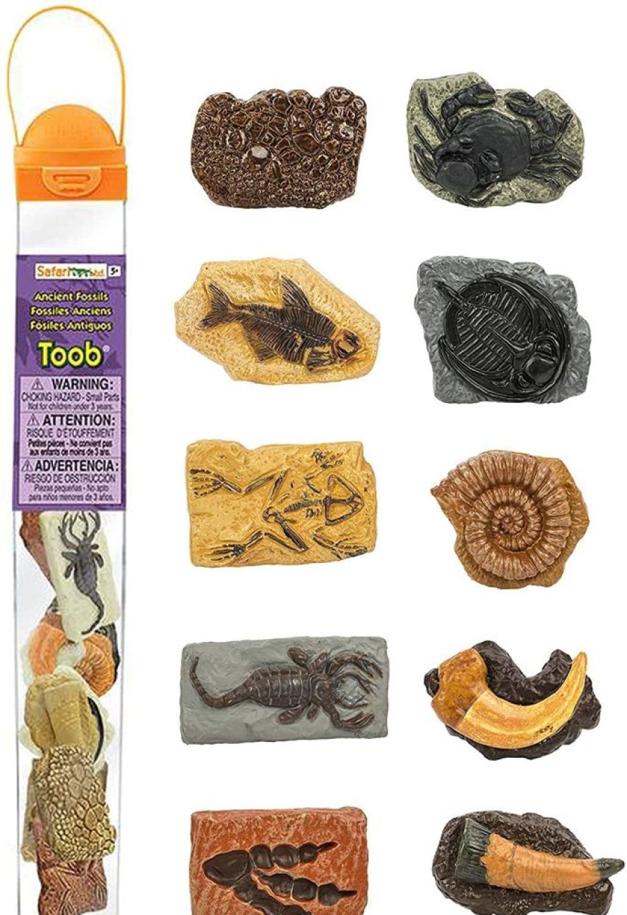 Playdough Axse | Safari Toobs - Ancient Fossils (10Pcs)