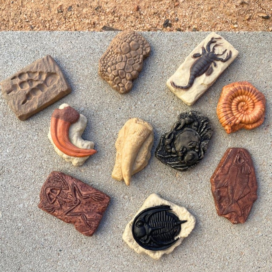 Playdough Axse | Safari Toobs - Ancient Fossils (10Pcs)