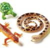 Gift / Party Ideas Learning Resources | Lr Jumbo Reptiles & Amphibians