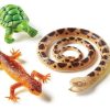 Small World Play Learning Resources | Lr Jumbo Reptiles & Amphibians