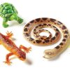 Animals Learning Resources | Lr Jumbo Reptiles & Amphibians