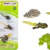 Sensory Play Axse | Safari Life Cycle - The Frog