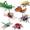 Gift / Party Ideas Learning Resources | Lr Large Insect Set