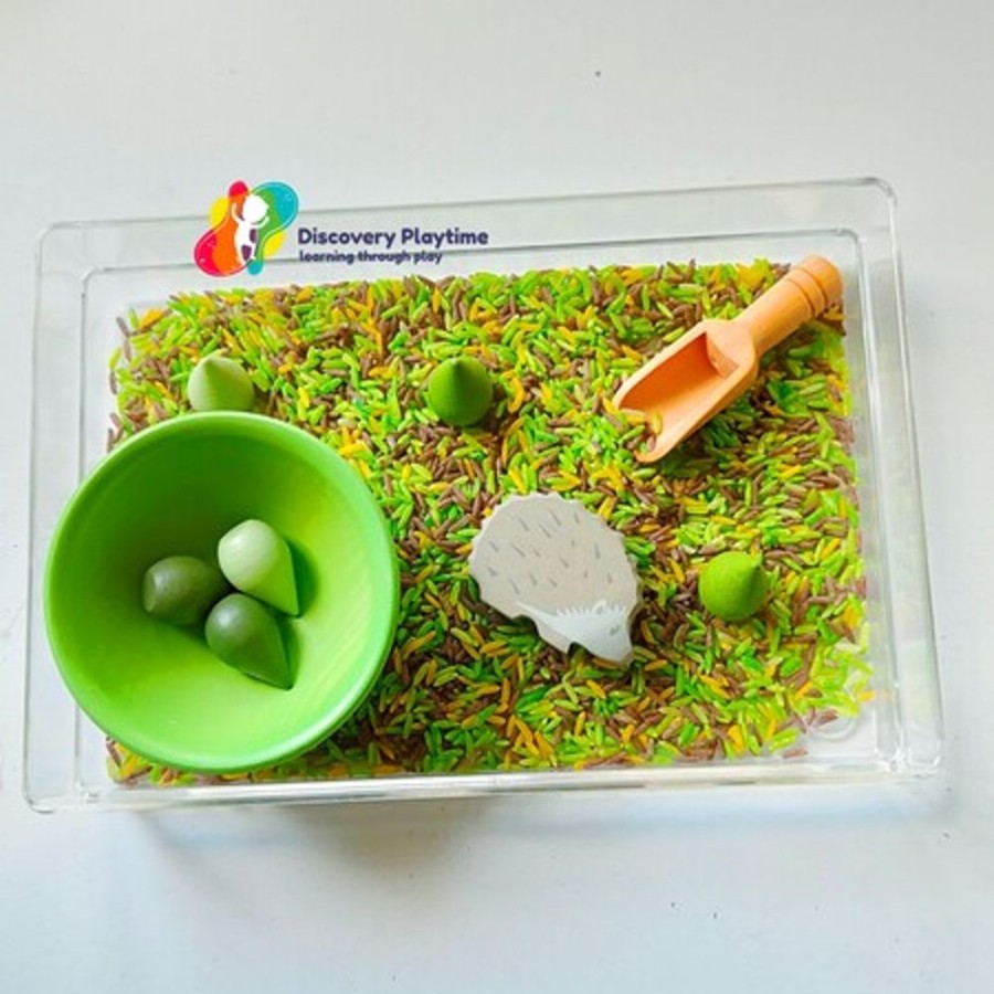 Sensory Play Discovery Playtime | Forest Discovery Box