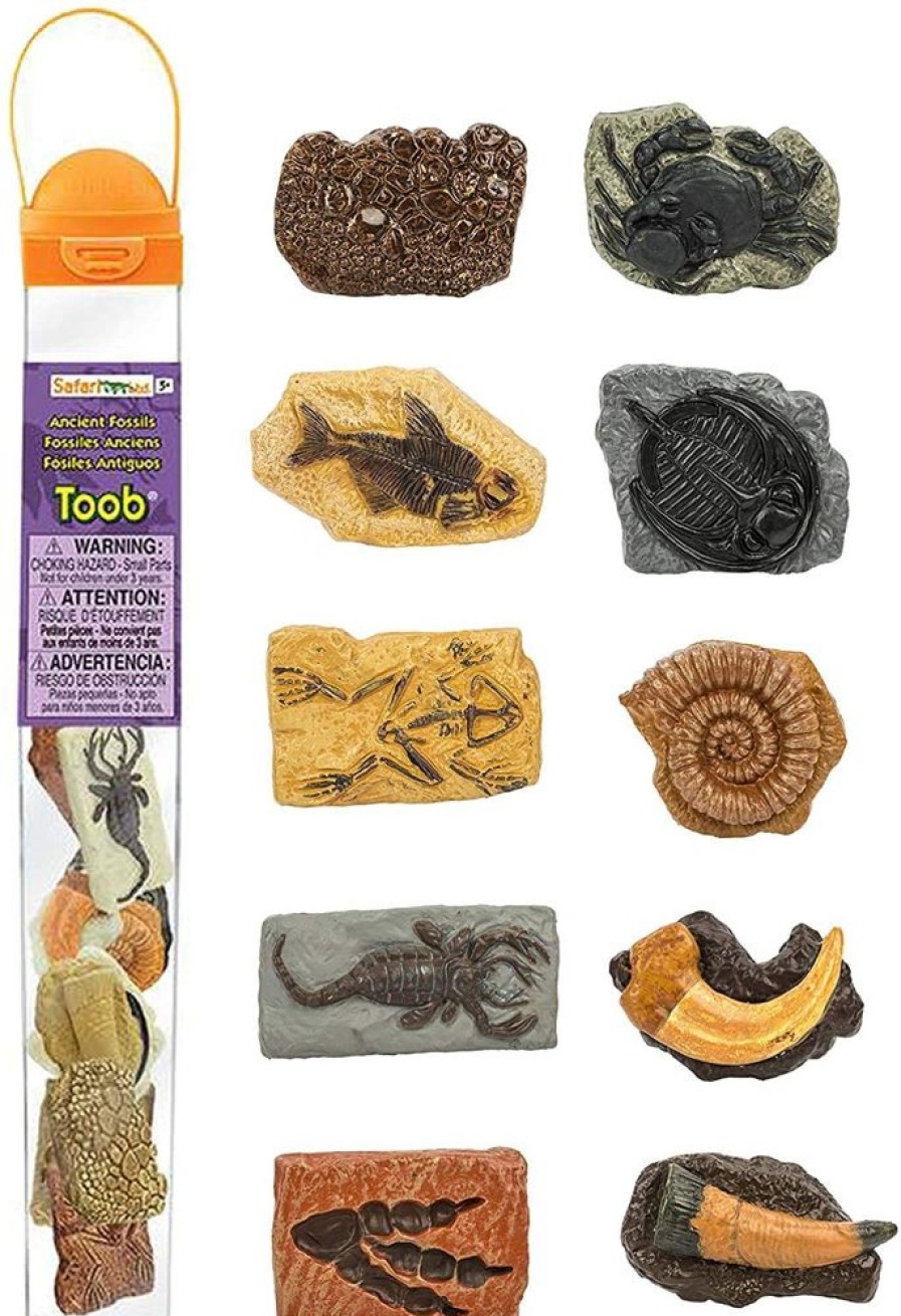 Animals Axse | Safari Toobs - Ancient Fossils (10Pcs)