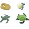 Sensory Play Axse | Safari Life Cycle - Sea Turtle