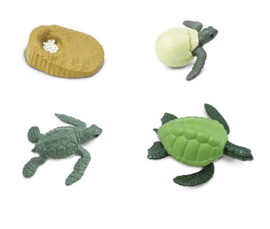 Sensory Play Axse | Safari Life Cycle - Sea Turtle