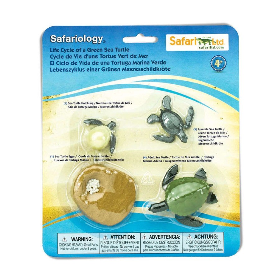 Sensory Play Axse | Safari Life Cycle - Sea Turtle