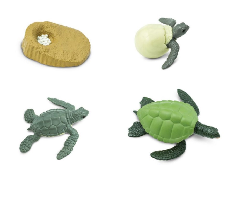 Small World Play Axse | Safari Life Cycle - Sea Turtle